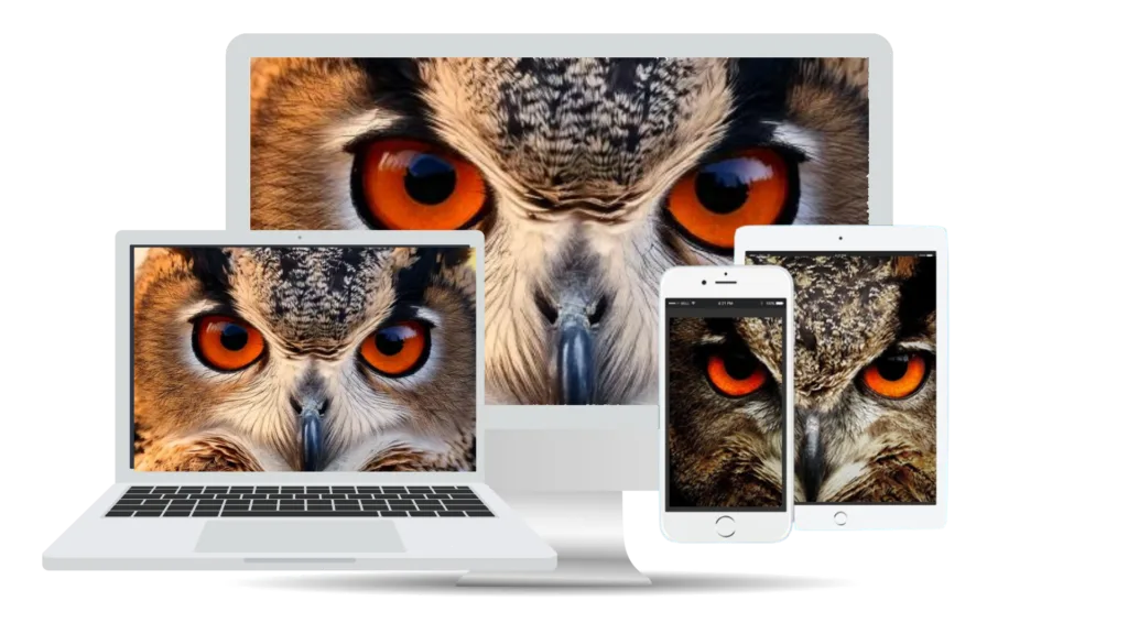 diseño web Valencia profesional